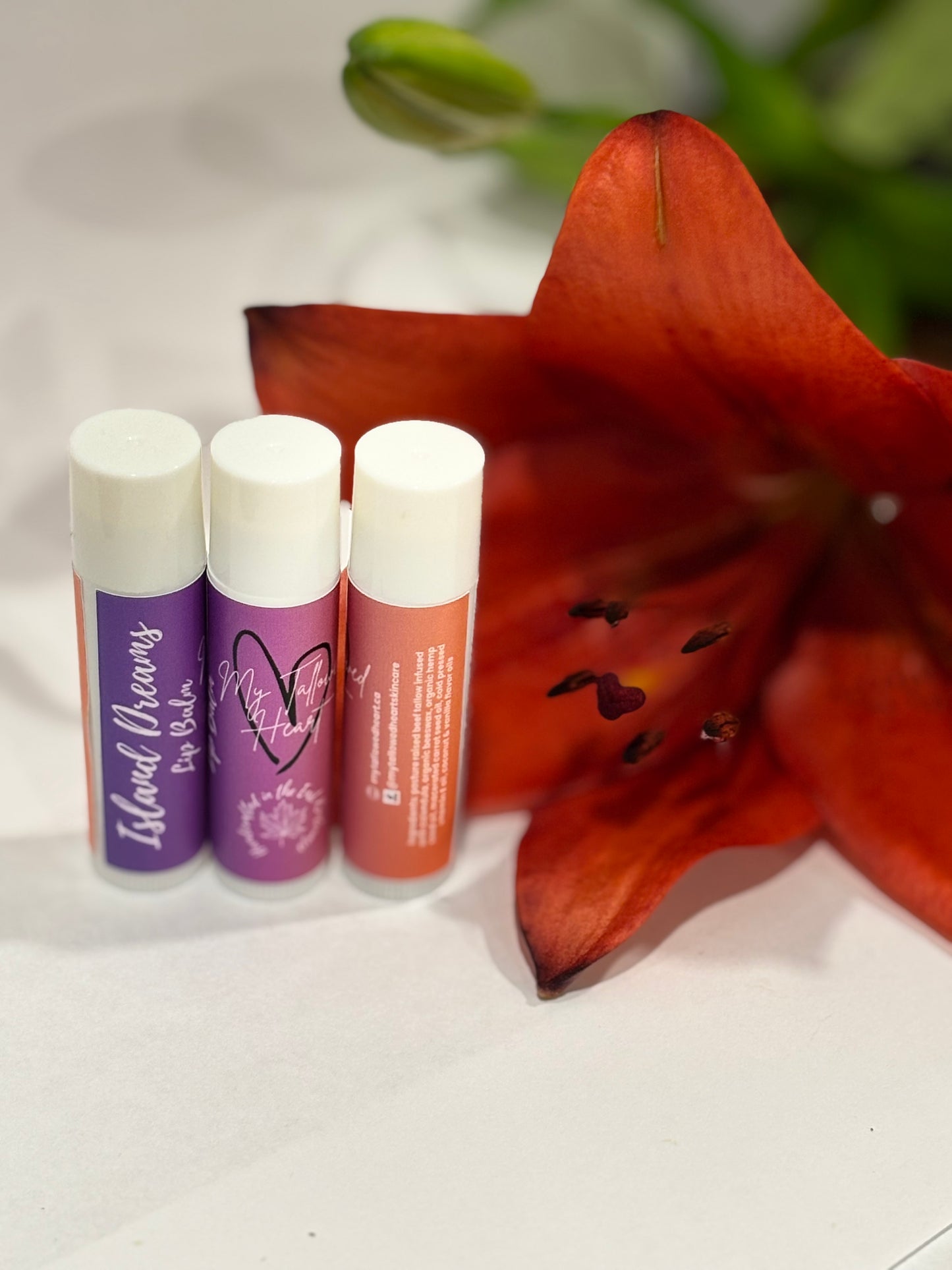 Island Dreams Lip Balm